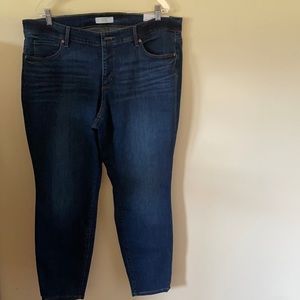 Loft Plus Jeans